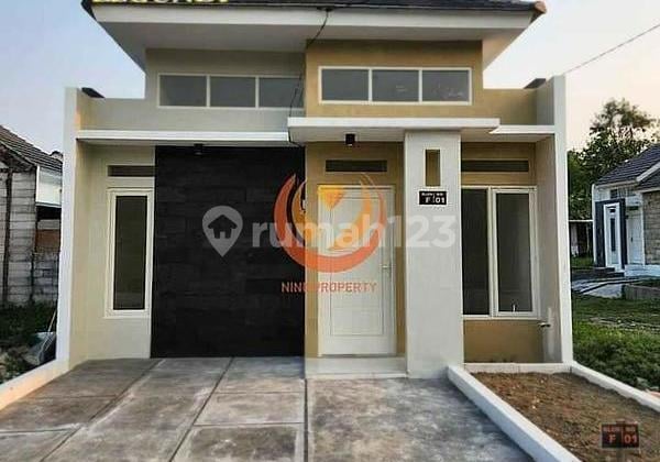Velvet legundi hanya bayar 1 juta langsung proses bank free biaya