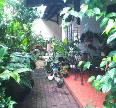 Rumah Luas dan Murah 1 Lantai di Fatmawati, Gandaria Selatan, Cilandak
