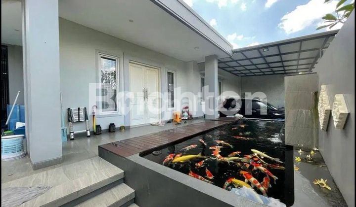Ready-to-Use Modern House
