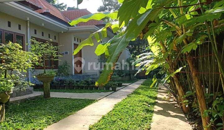 Pasti Deal Di Jual Guesthouse Lokasi Kemenuh Ubud Gianyar