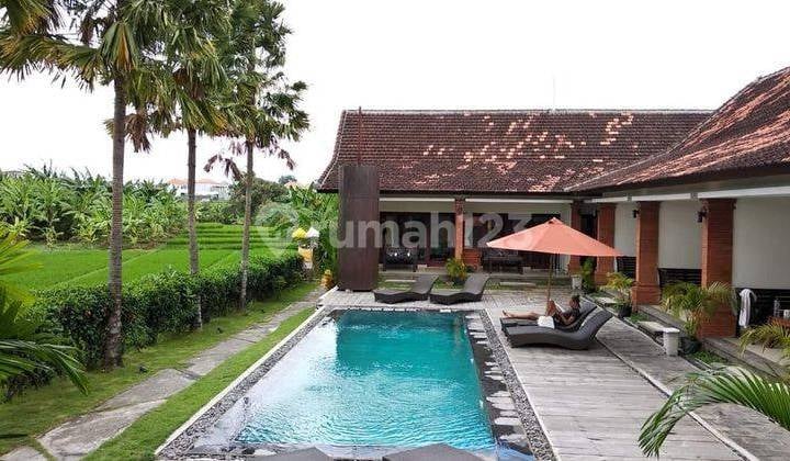 Hot List of Guest Houses for Sale in Babakan Canggu Location