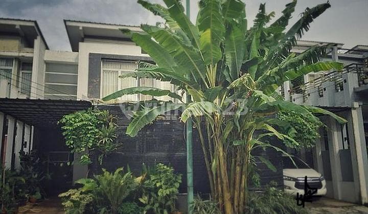 Modern Hill Cluster Green Tranquillity