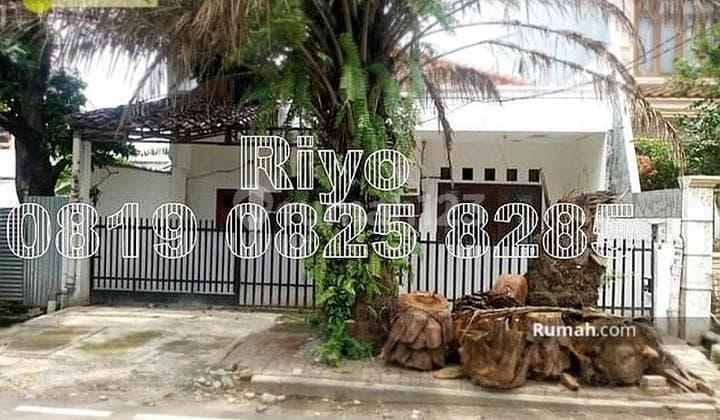 cempaka putih tengah