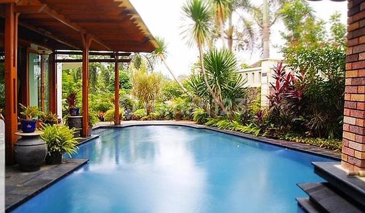 White Movie Villages