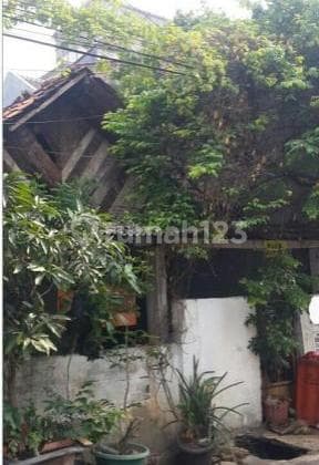 Rumah Tua Cuma Hitung Tanah Wilayah Pulo Macan
