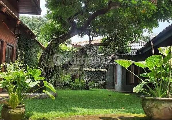 Rumah Lama Terawat, SHM Jl. Anggur L, Cipete, Jakssel Dijual