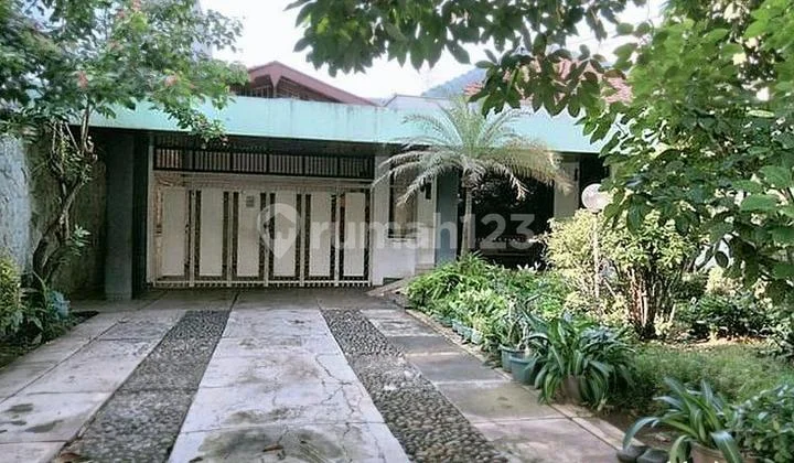 Great orange garden West Jakarta Great orange garden West Jakarta