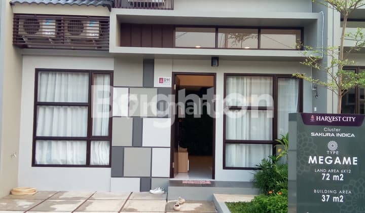 SAKURA INDICA TYPE MEGAME