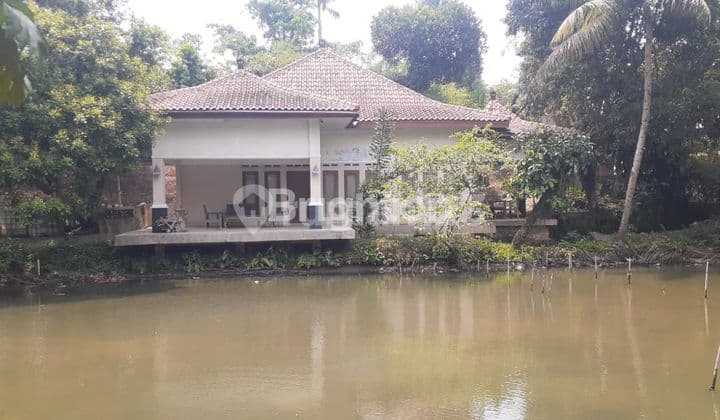 RUMAH + TANAH ASRI, NYAMAN, COCOK UNTUK VILLA