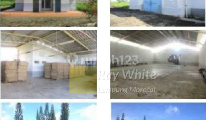 Land Ready to Build in the Warehouse Area