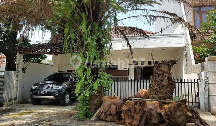 Rumah lama dekat ITC Cempaka Mas di Cempaka Putih Tengh