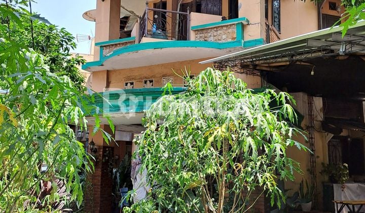 Rumah Klasik 2 1/2 Lantai Pinggir Jalan Pandu Raya Bogor Sangat Cocok Buat Tempat Usaha