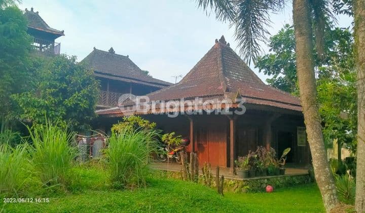 Rumah Berkonsep Kayu, Rapih Dan Cantik Lokasi Bnr Bogor