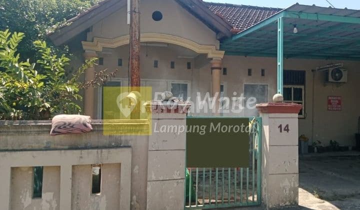 Rumah Tanah Luas di Sukabumi Bandar Lampung