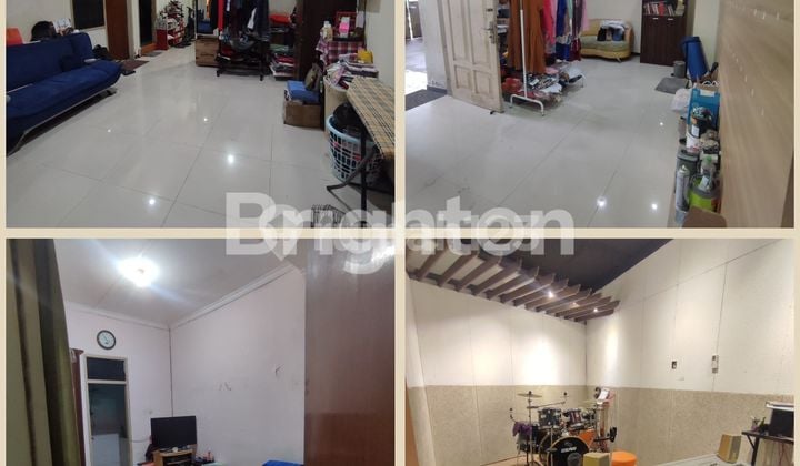 Tenggillis Ubaya MURAH Langka!! Siap Huni