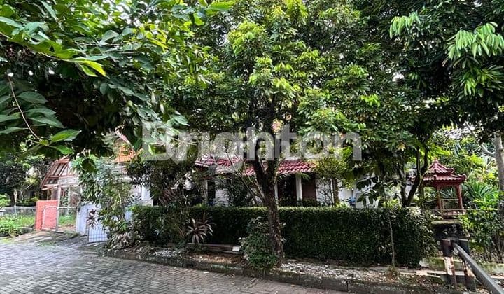 RUMAH ASRI DAN NYAMAN