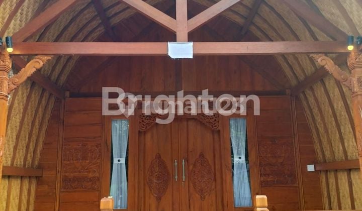 Villa 1 Kamar Tidur Dekat Green School Sibang