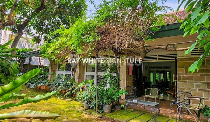 Rumah Layak Huni 1 Lantai Di Darmawangsa Jakarta Selatan