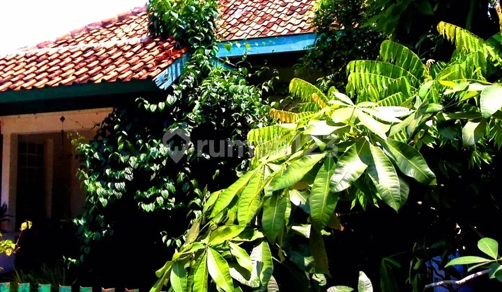 Area Menteng-Kuningan-Sudirman; Bangunan Tua ternilai sebagai Tanah SHM Area Menteng-Kuningan-Sudirman; Bangunan Tua ternilai sebagai Tanah SHM