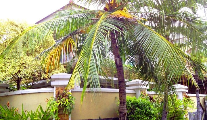 Hunian di Sudut (Hoek) & Dalam Kompleks: Rindang, Nyaman & Teduh