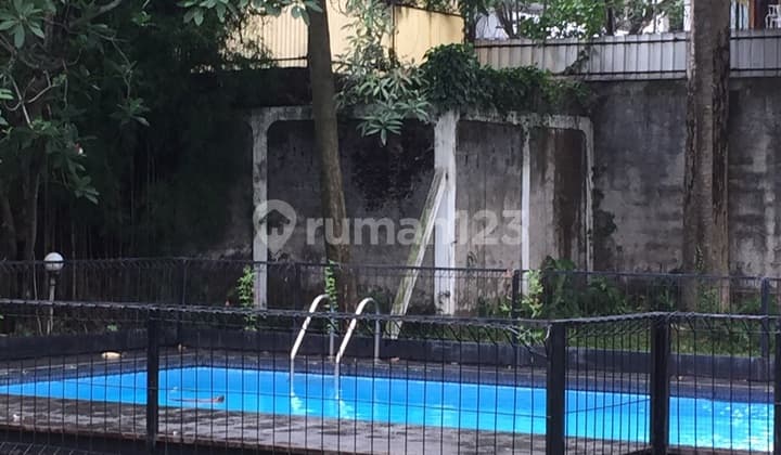 Rumah asri dan teduh dgn kolam renang dan taman luas di Ampera