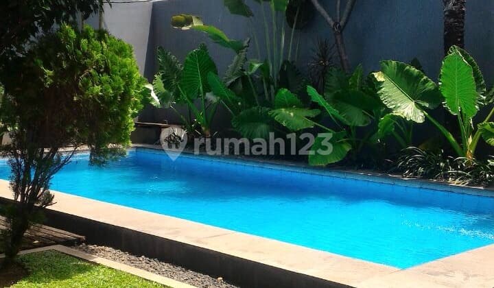 JERUK PURUT HUNIAN NYAMAN TENANG DAN ASRI