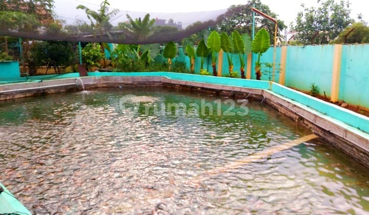 Exclusive >> 3500 m2, Kota Bogor Barat (sekitar Yasmin), dekat Jalan Raya dan Tol