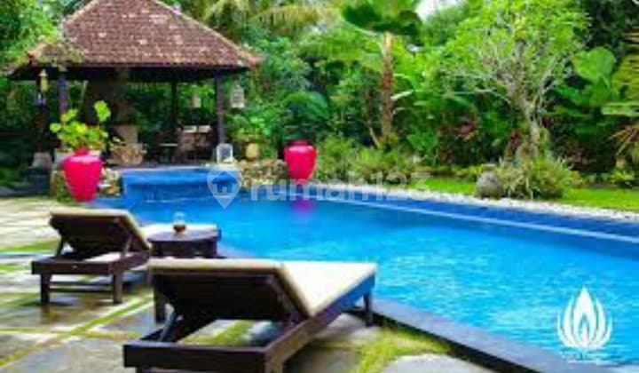 Rumah Mewah dan bernuansa alam di jalan kaliurang