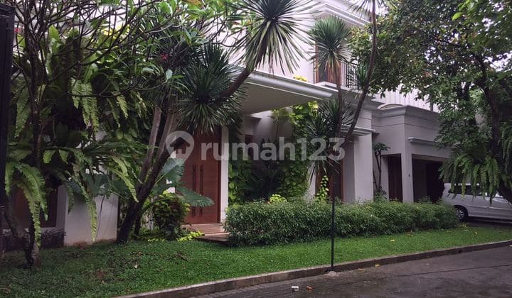 Beautiful House with Nice Pool at Cilandak Area