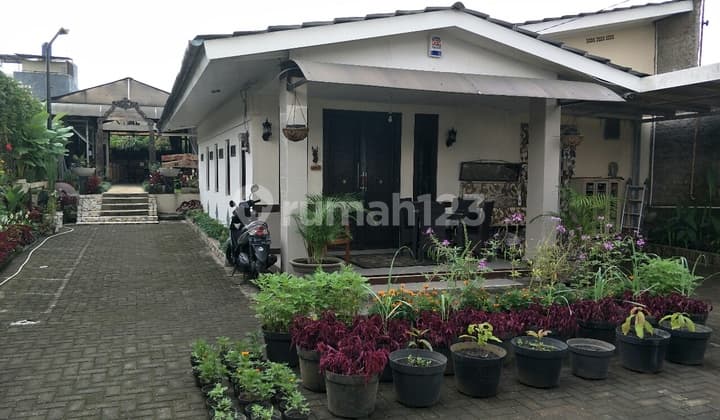 Rumah Tinggal dan Cafe yang sejuk asri