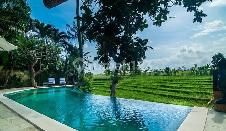 Turun Harga...luxury Freehold Villa Style Nuansa Bali Modern Dengan View Sawah Abadi Di Berawa Canggu