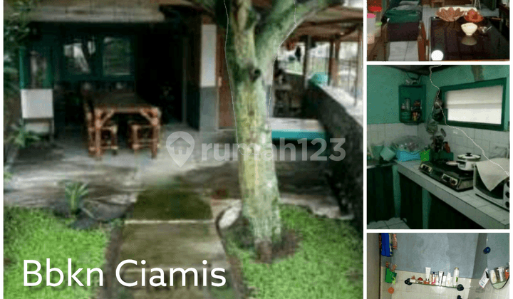 Rumah di Pusat Kota Suasana Desa Bebas Stress