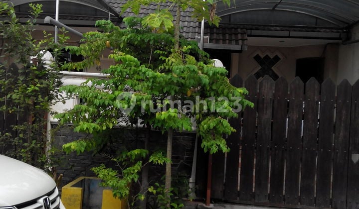 Rumah siap huni di raya pogot ! Rumah siap huni di raya pogot !