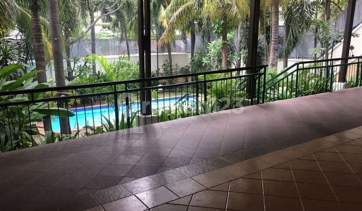 House in Kemang, 800/500, with a study room and garden. Swimming Pool.