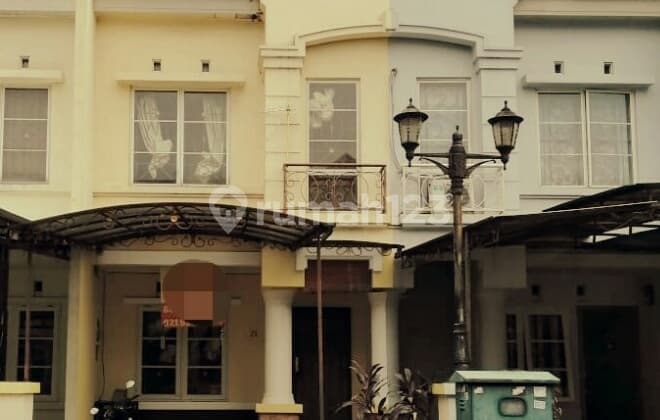 Mediterranean Palm Semi TNG Cluster