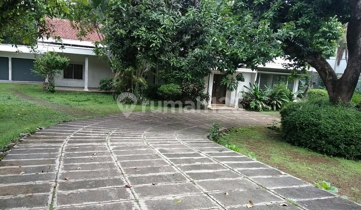 rumah lama ,lahan luas
