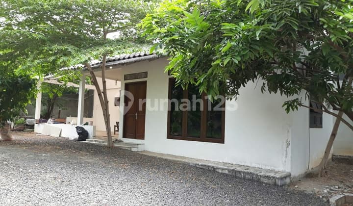 Rumah 1 lt halaman luas