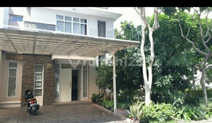 rumahh amerika latin cantik 8*18 murah hoek