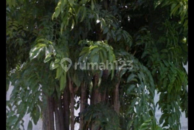 Rumah hitung tanah termurah jalan kembar daerah bendul merisi sidosermo Rumah hitung tanah termurah jalan kembar daerah bendul merisi sidosermo