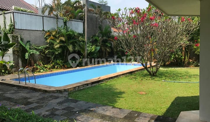 Beautiful and Cozy House