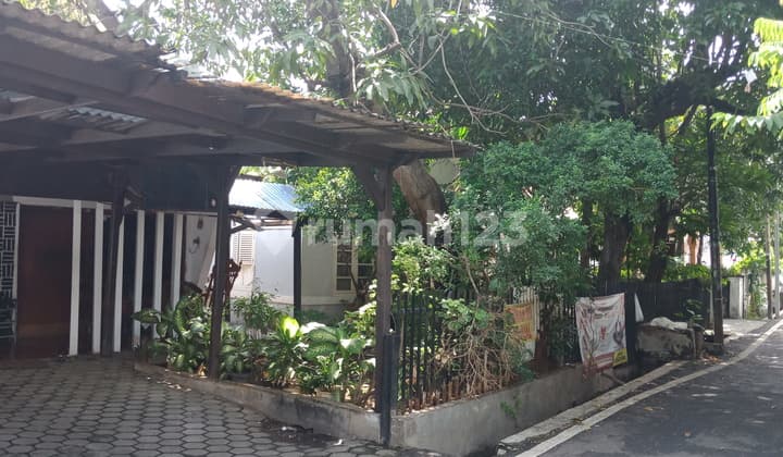 Rumah Tua Hitung Tanah di Petojo
