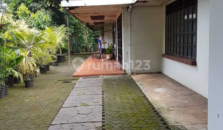Price Reduced, Land for Sale with Bonus House and Very Large Garden / Yard
