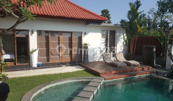 Rice paddy view villa in Berawa Canggu