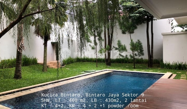 TURUN HARGA! Rumah Mewah Swimming Pool Besar Kucica Bintaro Jaya