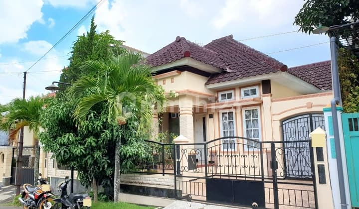 Murah Dan Banyak Kamar Di Puncak Dieng