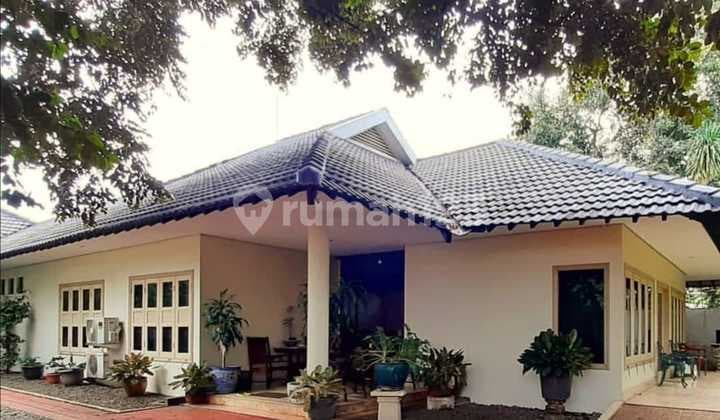 Rumah Siap Huni 1 Lantai 353 M2 di Cipete , Bebas Banjir, SHM