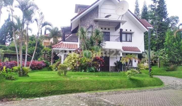 Cheap, Private Swimming Pool in Villa Agro