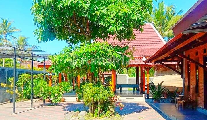 Rumah Joglo Jalan Kaliurang Luas 2000 Cangkringan