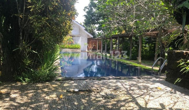 Thousand Square Meter Battlefield Villa, Super Comfortable with Swimming Pool and Rice Field View