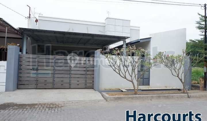 Rumah minimalis los losan